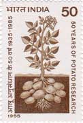 50 years of Potato Research