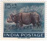 Rhino (Wildlife Week)