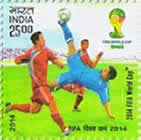 2014 FIFA World Cup