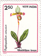 Orchids of India