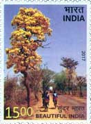 Beautiful India - Tree with Yellow Flowers