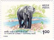 50 Years of Corbett National Park