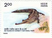 50 Years of Corbett National Park