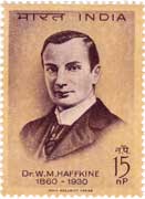 Dr. W. M. W. Haffkine