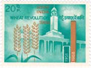 Wheat Revolution