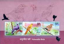 Vulnerable Birds: Broad Tailed Grass Warbler, Nilgiri Pipit, Nilgiri Wood Pigeon