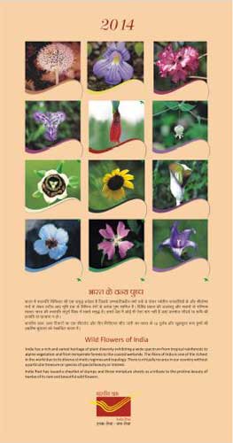 2014 India Post Wall Calendar