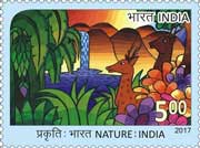 Nature India - Deer