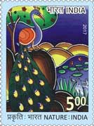 Nature India - Peacock