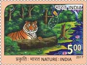 Nature India - Tiger