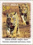 Tadoba Andhari National Park 