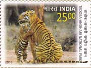 Tadoba Andhari National Park 