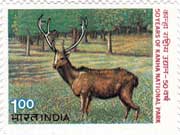 50 Years of Kanha National Park