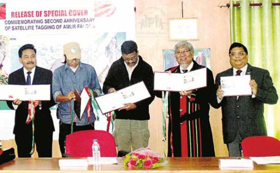 Special Cover on Second Anniversary of Satellite Tagging of Amur Falcons