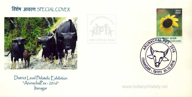 Special Cover on Mithun