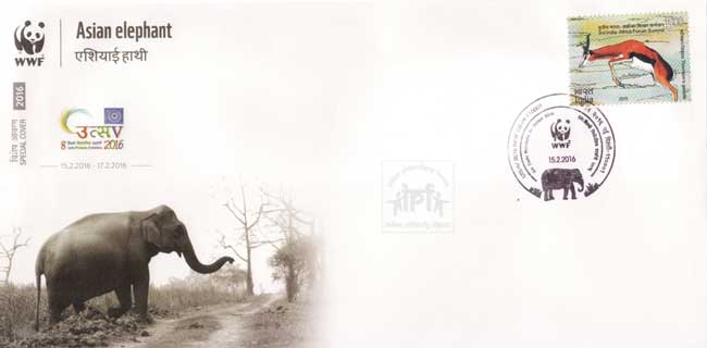 Special Cover on Greater One-horned Rhinoceros