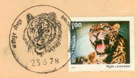 Bandipur Permanent Pictorial Cancellation