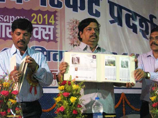 Special Cover on Kendai Water Fall