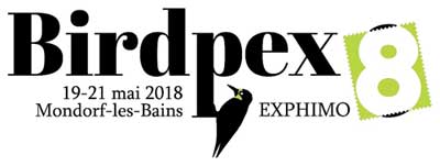 Birdpex 8