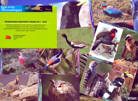 49 Picture Postcards released by North Karnataka Postal Region