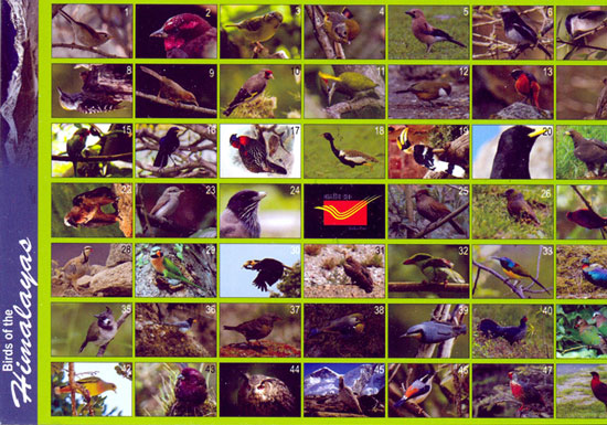 49 Picture Postcards released by North Karnataka Postal Region