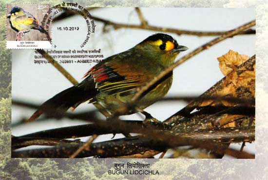 Kutch Museum Picture Postcard