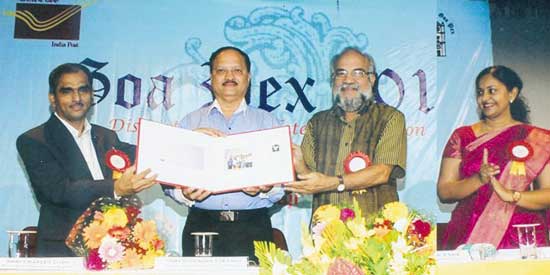 Special Cover on the feast of Sao Joao