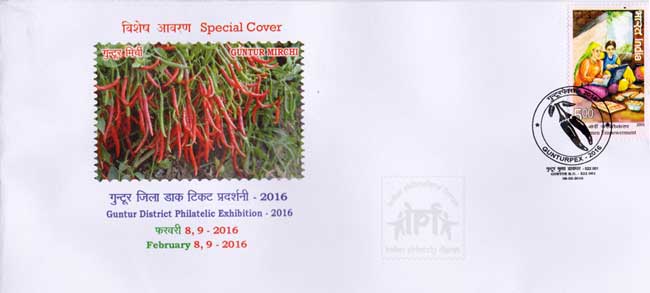 Special Cover on Guntur Chillies (Guntur Mirchi)