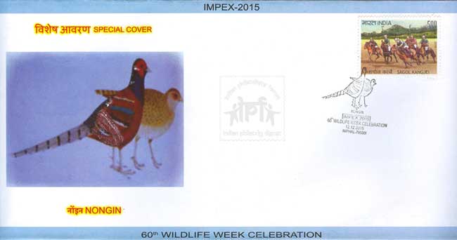 Special Cover on Nongin