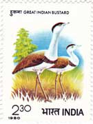 International Symposium of Bustards