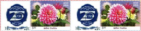IPA 75 Years My Stamps