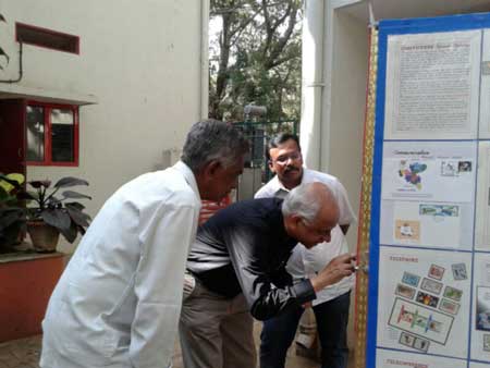 International Year of Crystallography 2014