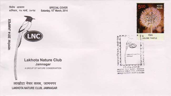 Jampex 2014 Special Cover