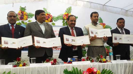 Special Cover on Surya Mandir of Jhalrapatan, Jhalawar