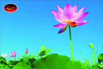 Incredible India Picture Postcards