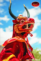 Incredible India Picture Postcards