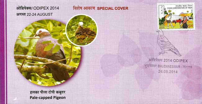 Odipex-2014 Special Cover