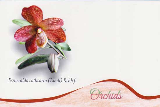 Picture Postcards on Orchids