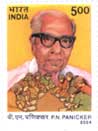 P. N. Panicker
