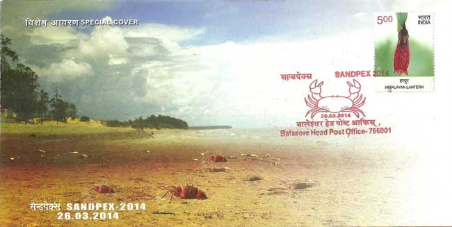 Sandpex 2014 Special Cover
