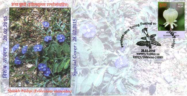 Spring Festival - 2015, Dehradun