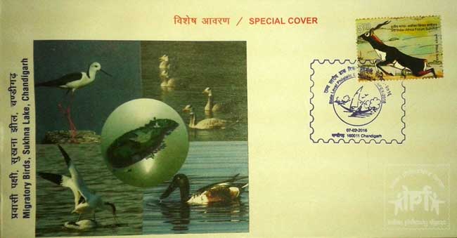 Special Cover on Migratory Bird, Sukhna Lake, Chandigarh