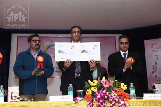 Special Cover on Greater One-horned Rhinoceros