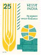 Wheat Research Symposium 
