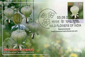 Wild Flowers of India Maxim Cards