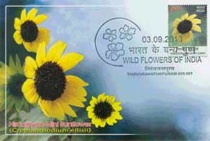 Wild Flowers of India Maxim Cards