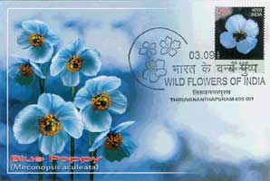 Wild Flowers of India Maxim Cards