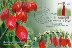 Wild Flowers of India Maxim Cards