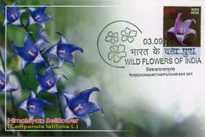Wild Flowers of India Maxim Cards