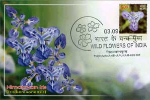 Wild Flowers of India Maxim Cards